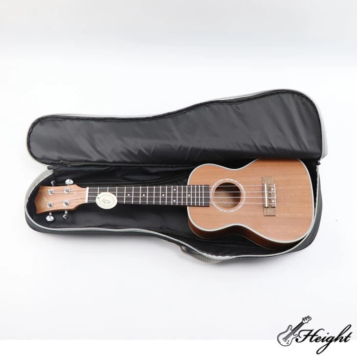 Ukulele Case