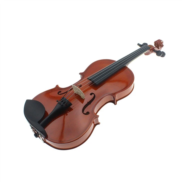 Red Gloss 4/4 3/4 Stentor Violin For Dummies