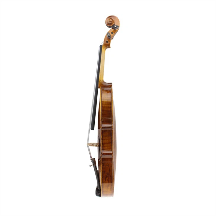 Spruce Wood Hopf Solid Violin With Maple Back