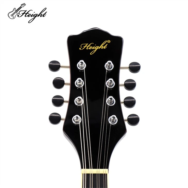 Unrivaled Electric Acoustic Mandolin
